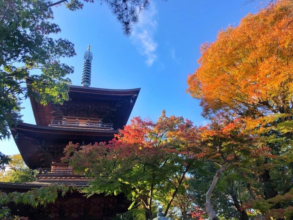 ⛩️ 대계산 호덕사 (다이케이잔 고토쿠지) 이미지 13